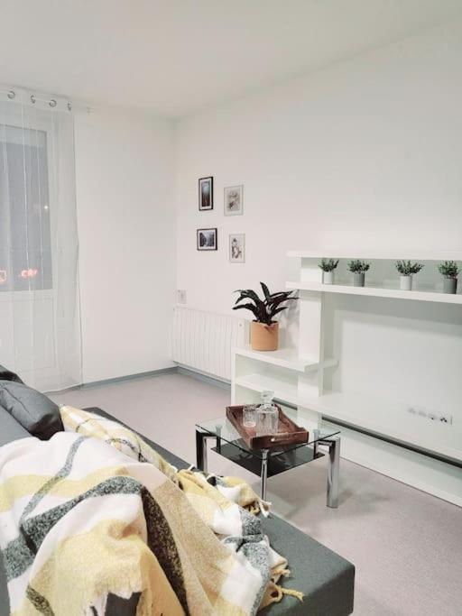 Apartamento Le Chaleureux, 5Min Bale,Parking Saint-Louis  Exterior foto